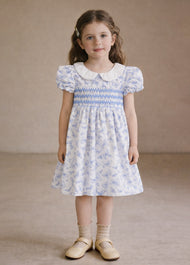 Girl Sweet Butterfly Print Puff Sleeve Dress