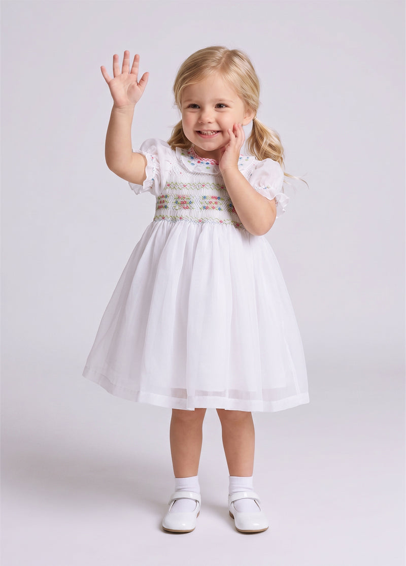 Girls Embroidered Flutter Sleeve Dress
