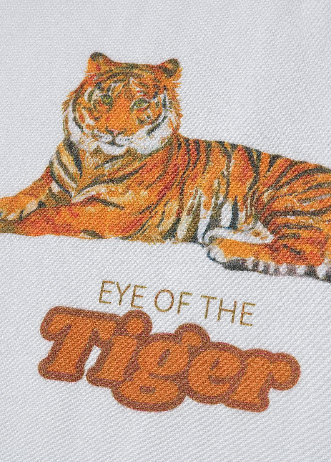 Boys Tiger Graphic Cotton Stretch Two-Piece Set